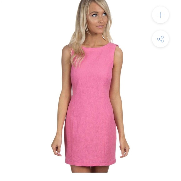Lauren James Dresses & Skirts - Lauren James Pink Seersucker Dress- Small